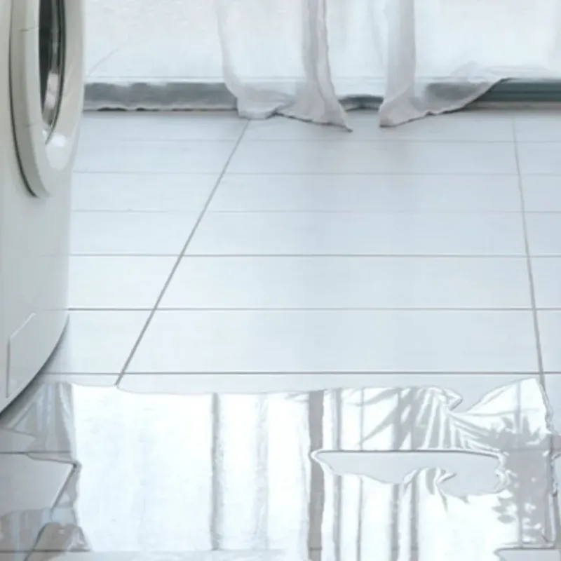 Appliance Leak Cleanup in Ford County, IL