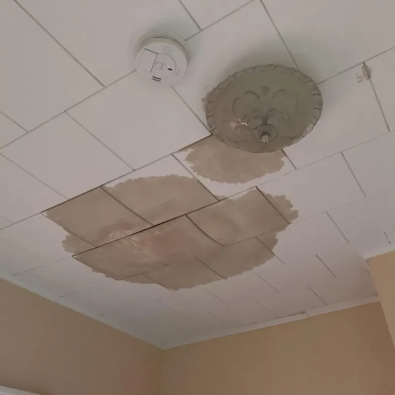 Ceiling Water Damage Repair in Ford County, IL
