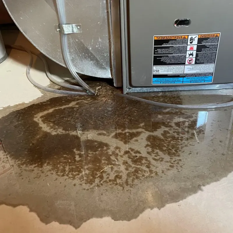 Pipe Burst and Leak Restoration in Ford County, IL