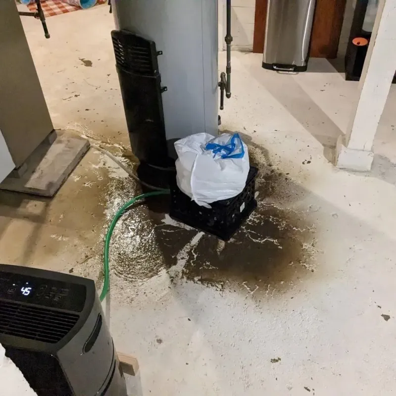 Sewage Backup Cleanup Service in Ford County, IL